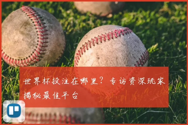 世界杯投注在哪里?专访资深玩家揭秘最佳平台