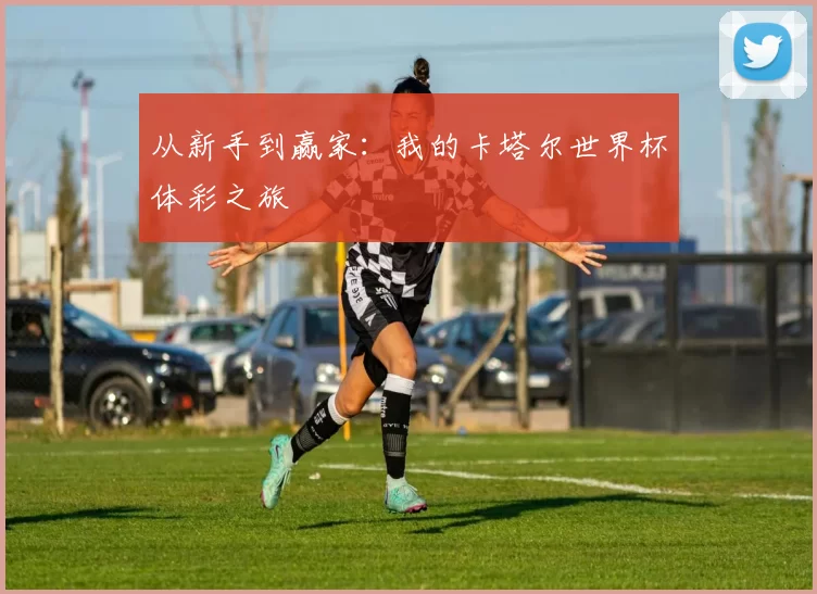 从新手到赢家:我的卡塔尔世界杯体彩之旅