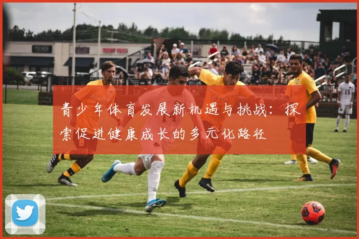 青少年体育发展新机遇与挑战:探索促进健康成长的多元化路径