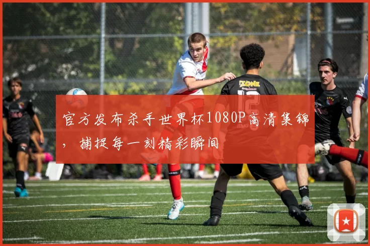 官方发布杀手世界杯1080P高清集锦,捕捉每一刻精彩瞬间