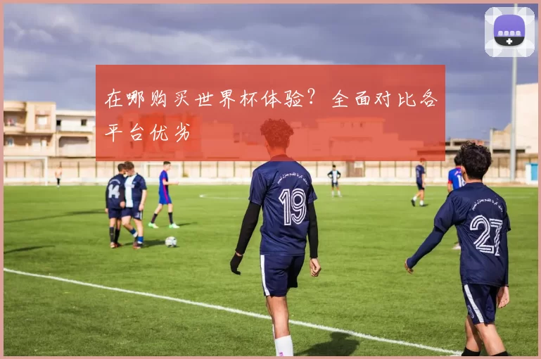 在哪购买世界杯体验？全面对比各平台优劣