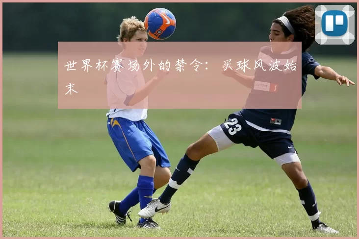 世界杯赛场外的禁令:买球风波始末